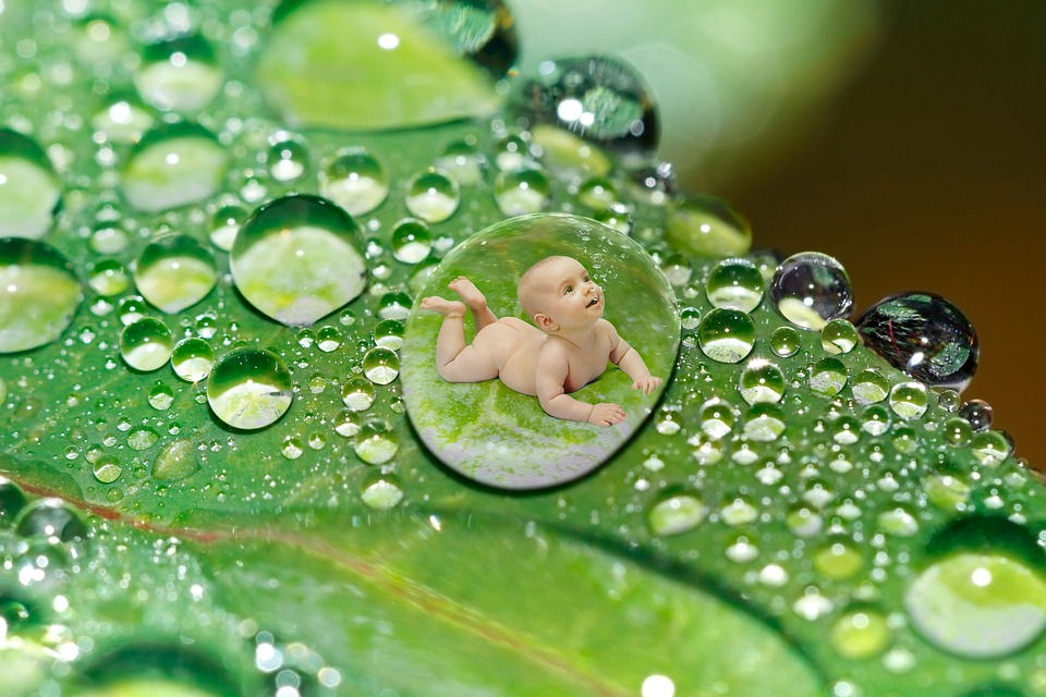 drip 2201235 960 720